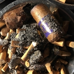 ashtrayscum