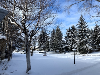 My front yard, for the snow lovers here! Happy new year!